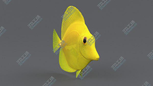 images/goods_img/20210312/Coral Reef Fish Collection 3D model/4.jpg